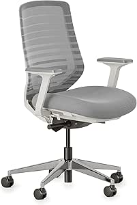 Branch Ergonomic Chair Pro